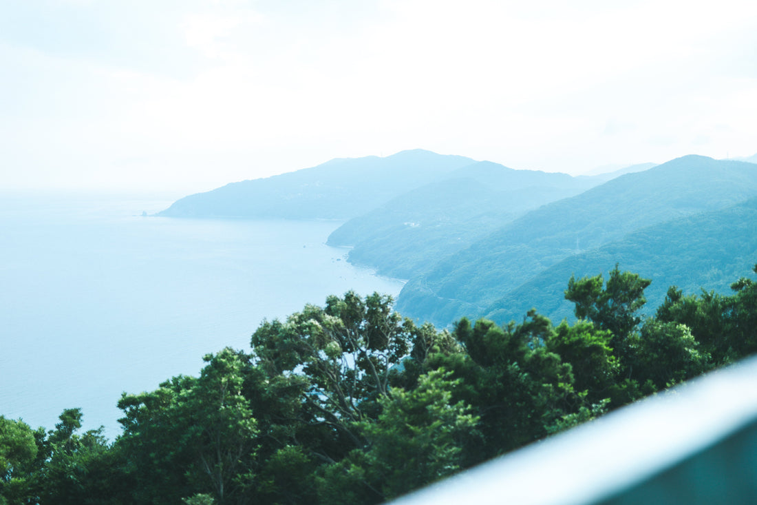 aguritopia official store open !